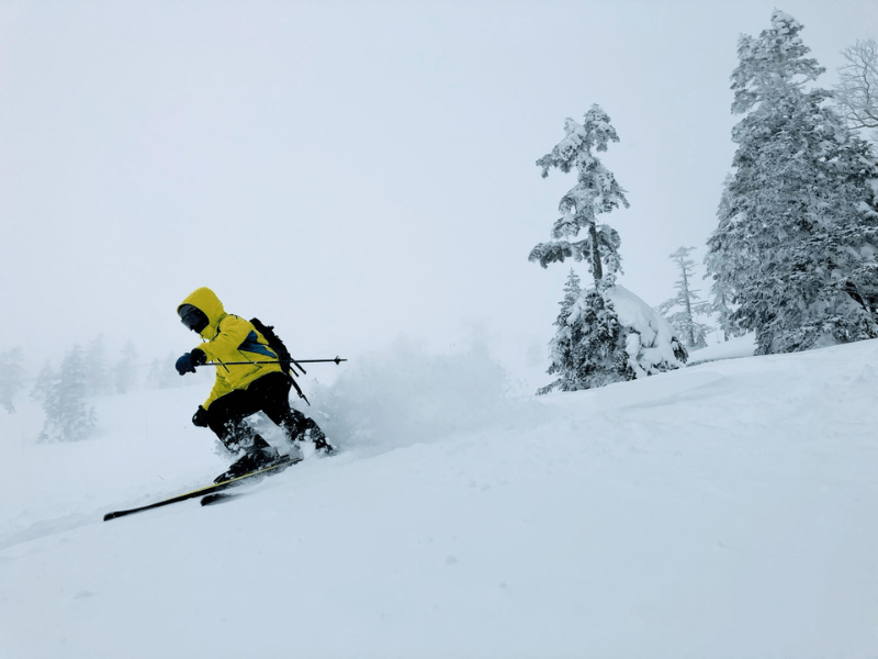 Shiga Kogen Snow Monkey Powder Weekend