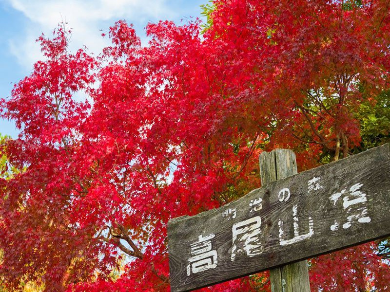 Mt Takao Autumn Color Hike}